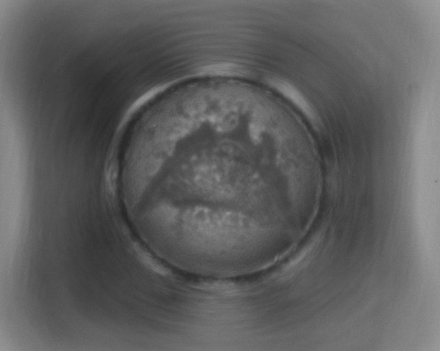 X0000114420971200910231203