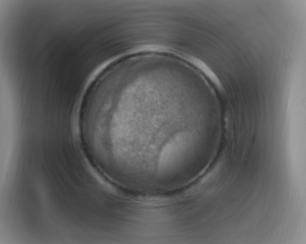 X0000114420972200910231203