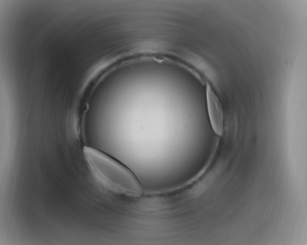X0000114420973200910231203