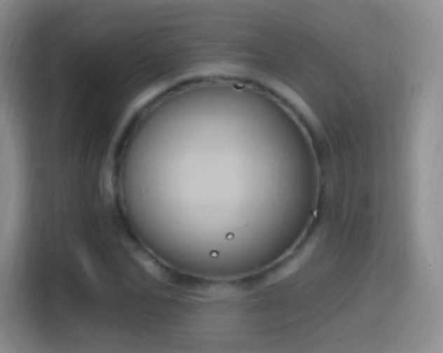 X0000114420974200910231203