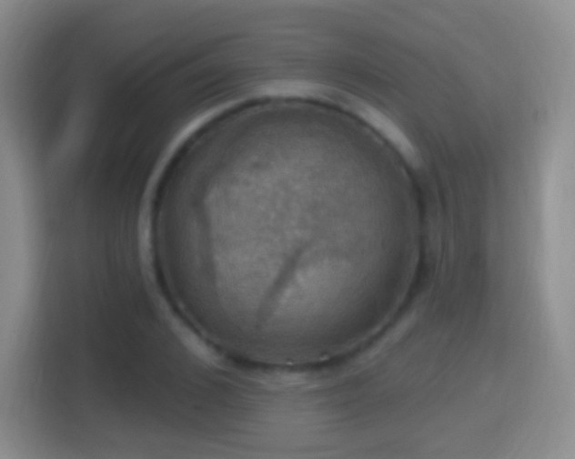 X0000114420976200910231203