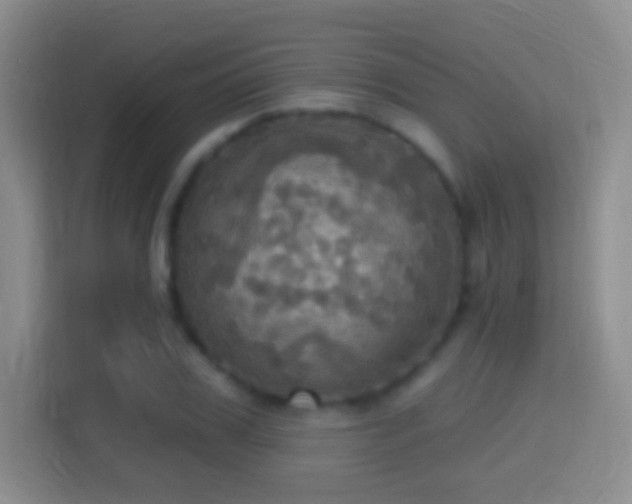 X0000114420979200910231203