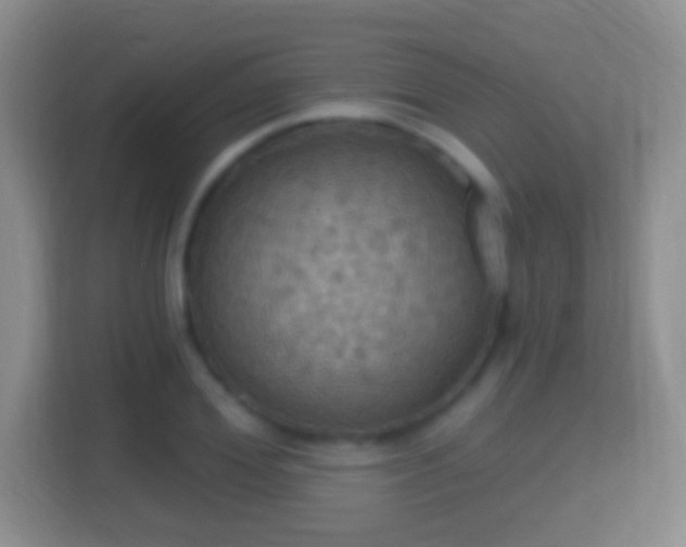 X0000114420980200910231203