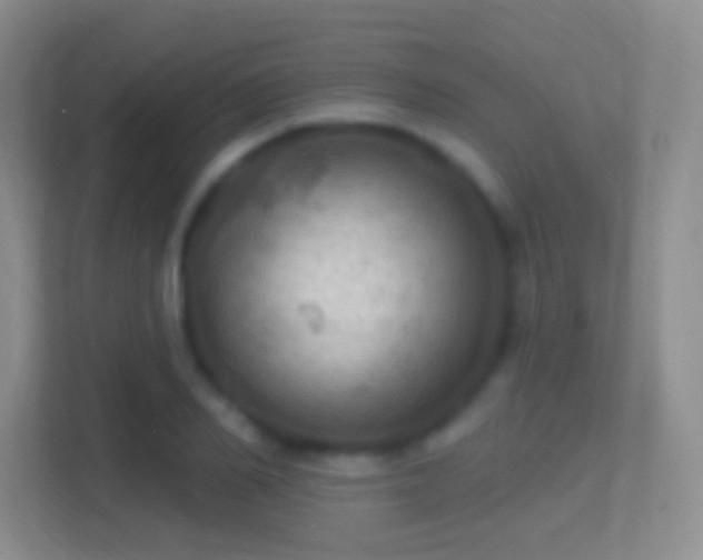 X0000114420982200910231203