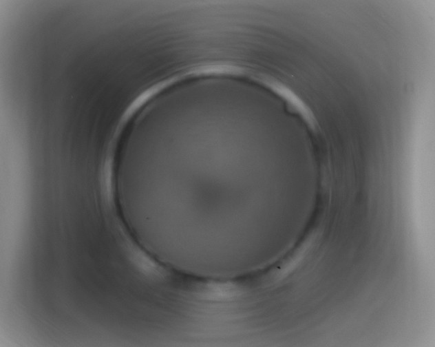 X0000114420983200910231203