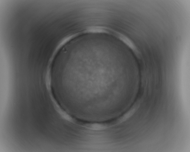X0000114420984200910231203