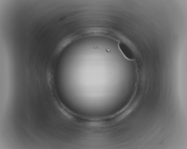 X0000114420985200910231203