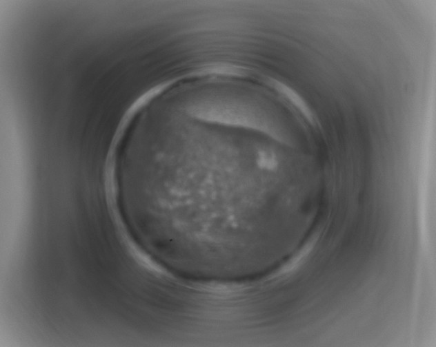 X0000114420987200910231203