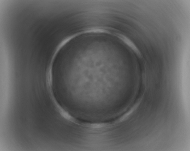 X0000114420988200910231203