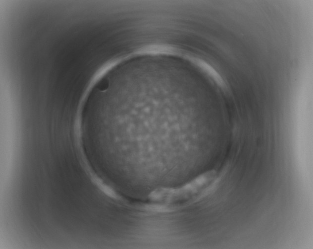 X0000114420990200910231203