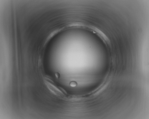 X0000114420993200910231203