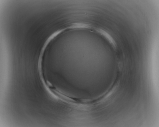X0000114420995200910231203