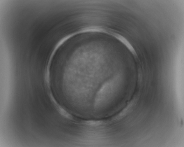 X0000114420996200910231202