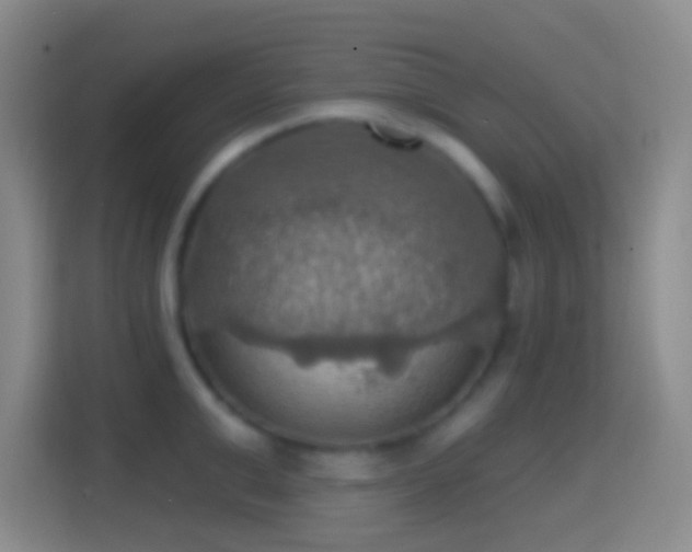 X0000114420999200910231202