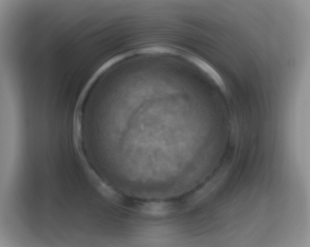 X0000114421000200910231202