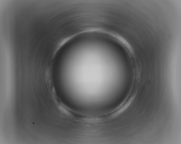 X0000114421001200910231202