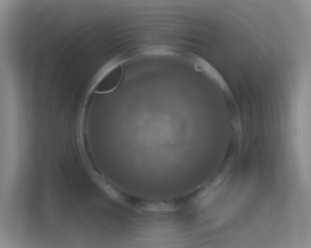 X0000114421002200910231202