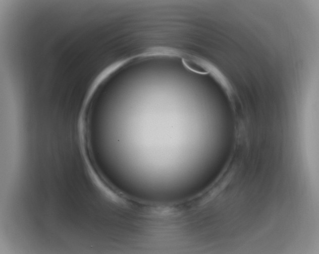 X0000114421003200910231202