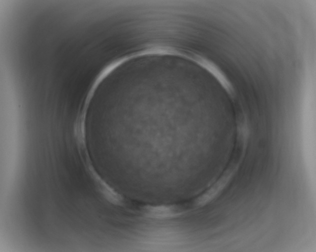 X0000114421004200910231202