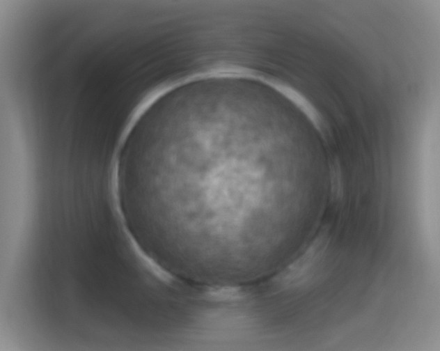 X0000114421006200910231202