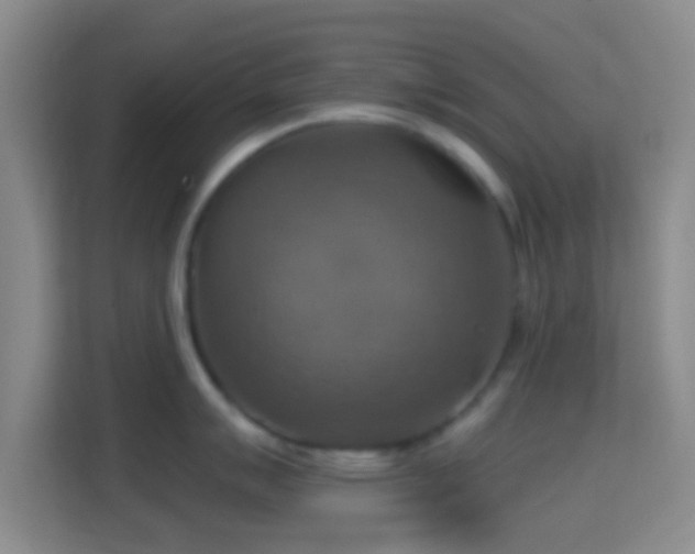 X0000114421007200910231202