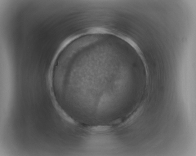 X0000114421008200910231202