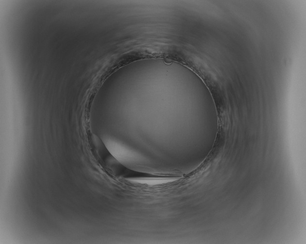 X0000114421009200910231202