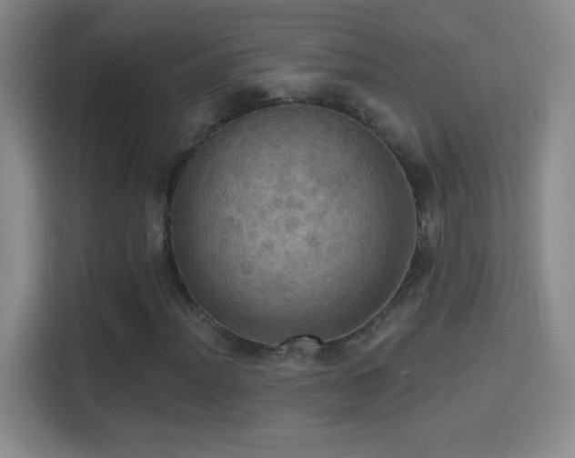 X0000114421012200910231202