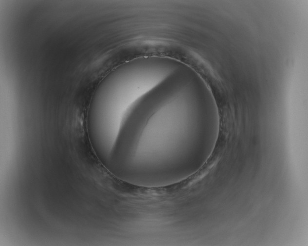 X0000114421013200910231202