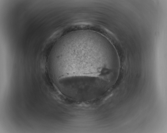 X0000114421014200910231202