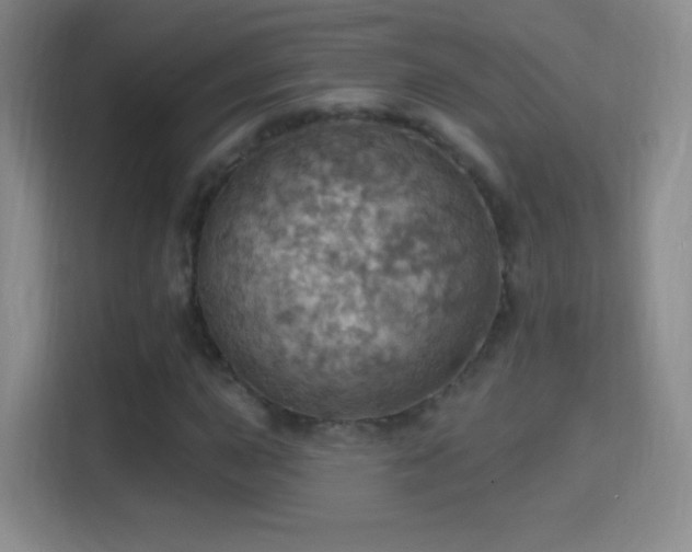 X0000114421015200910231202