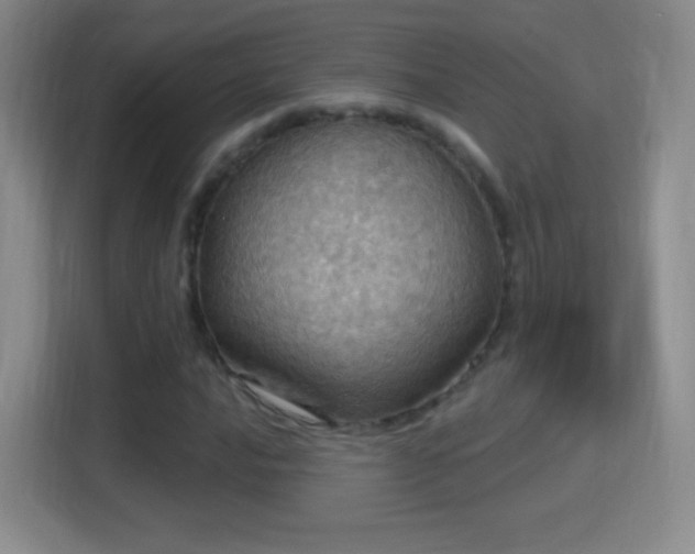 X0000114421016200910231202