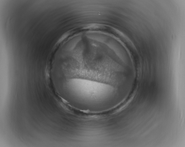 X0000114421017200910231202