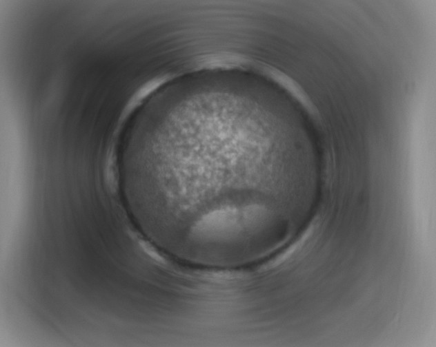 X0000114421018200910231202