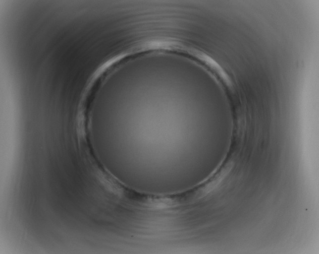 X0000114421019200910231202