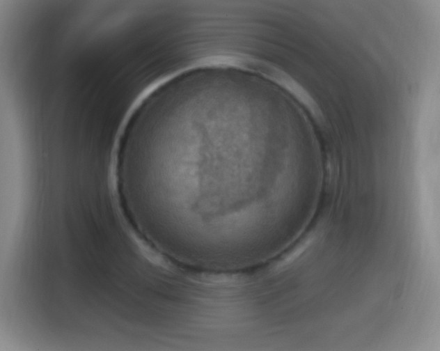 X0000114421020200910231202