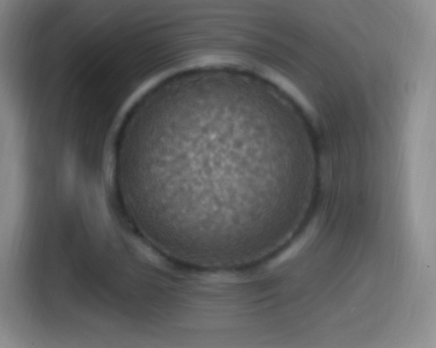 X0000114421021200910231202
