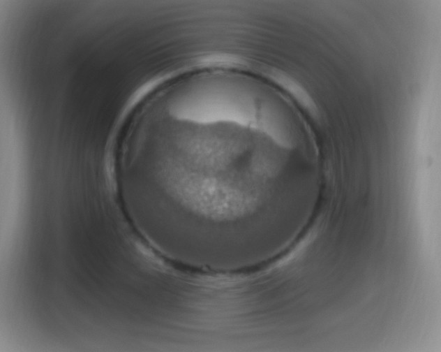 X0000114421022200910231202