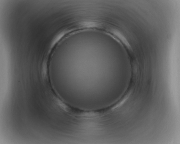 X0000114421023200910231202