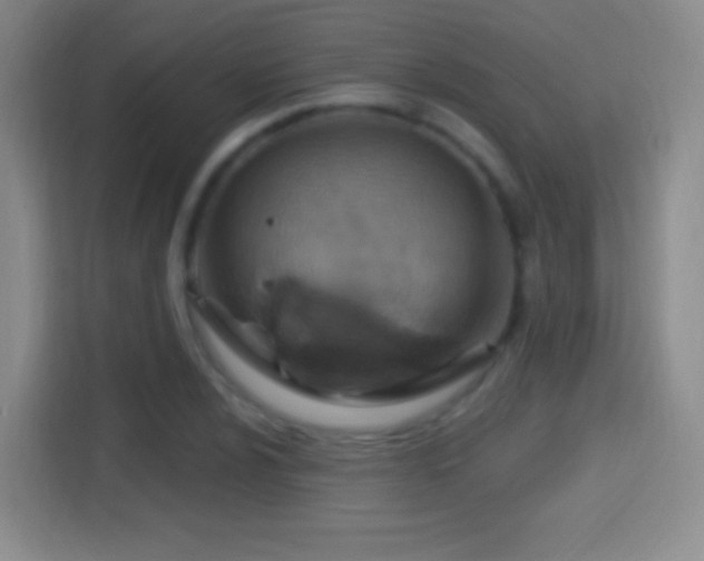 X0000114421024200910231202