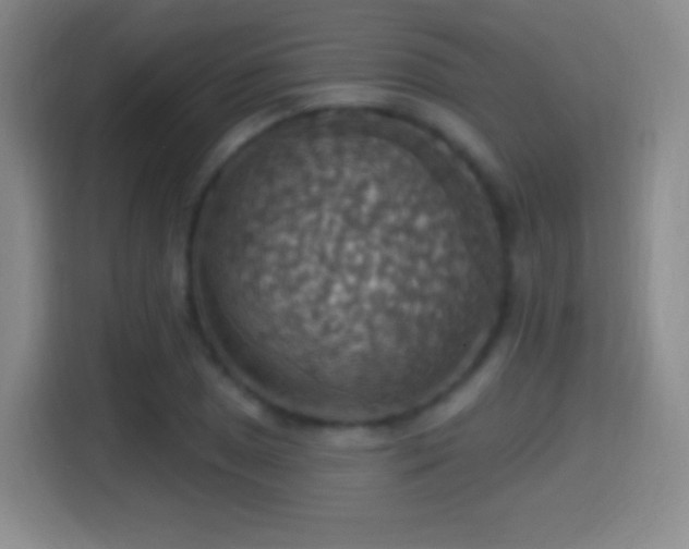X0000114421025200910231202