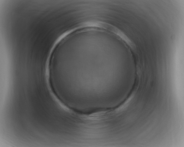 X0000114421028200910231202