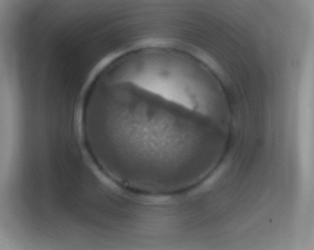 X0000114421030200910231202