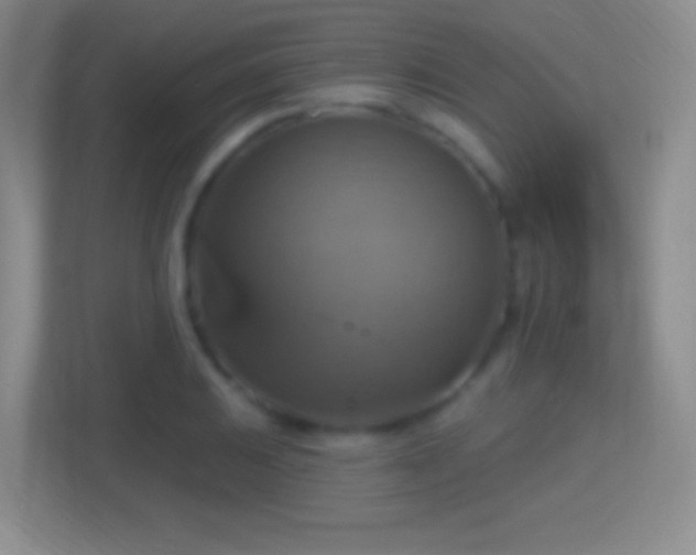 X0000114421031200910231202