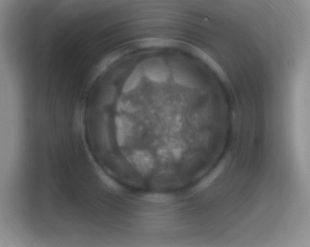 X0000114421033200910231202