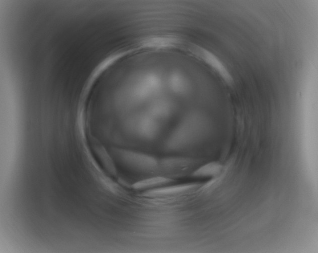 X0000114421035200910231202