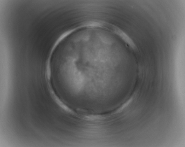 X0000114421036200910231202