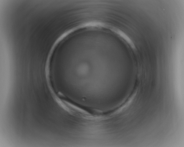 X0000114421037200910231202
