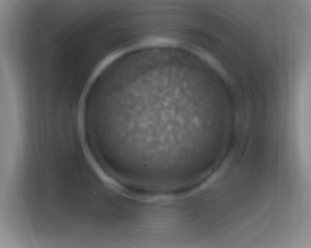 X0000114421038200910231202