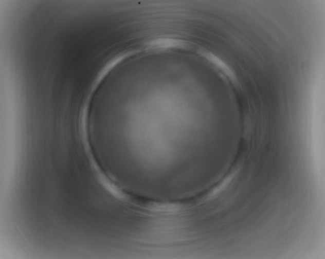 X0000114421039200910231202